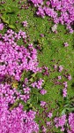 20200806_154815.jpg