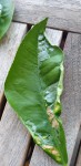 20200807_174415_resized.jpg