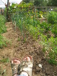 p7132677hb4.jpg