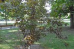P1010250.JPG