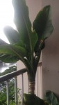 z2017483019295_1a506e3caf8a355da7d213a479b76081.jpg