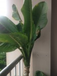 z2017462050599_a189746e2c945399ef8676ae9bf645fe.jpg