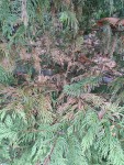 0IMG_20200809_201548.jpg