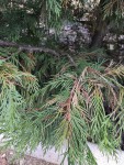 0IMG_20200809_201832.jpg