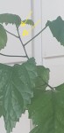 Screenshot_20200814-233531_Gallery.jpg