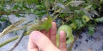 20200816_090200.jpg