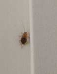 IMG_20200817_151338.jpg