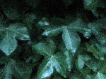 Photo035.jpg