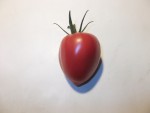 DSCF3663.JPG