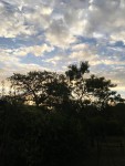 IMG_8101.JPG