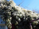 DSCN0384.JPG