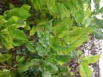 20200821_083209.jpg