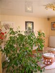 DSC03875.JPG