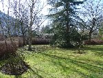 DSC03885.JPG