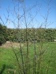 IMG_5180.JPG