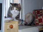 les invités 008.jpg