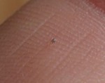 4782C554-D4D0-463A-8ACB-707CE03C75E0.jpeg