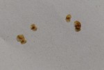 IMG_20200826_114448_1.jpg