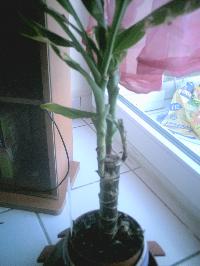 mini_090220125701765850.jpg