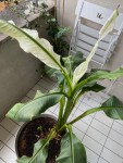 IMG_3710.jpeg