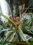 IMG_20200818_190600.jpg