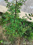 IMG_20200825_180442.jpg