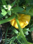 IMG_8190.JPG