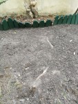 118692296_605182493492074_5719157517915867512_n.jpg