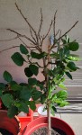 20200903_135606.jpg