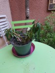 20200903_073723.jpg