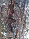20200902_120403_resized.jpg