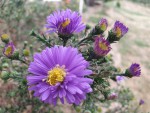 20200910_184839.jpg