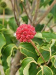 20200909_171935.jpg