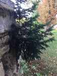 IMG_0855.JPG