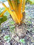 Photo0032.jpg