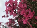 D7519B93-D82B-459E-A65B-39B8EFC18E1F.jpeg