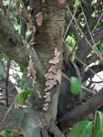 IMG-20200918-WA0000.jpg