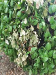 IMG-20200918-WA0001.jpg
