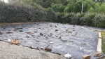 20200919_130027.jpg