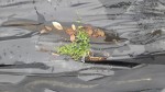 20200919_130055.jpg