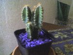 DSC00047.JPG