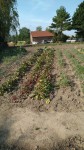 IMG_20200919_105653.jpg
