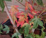20200920_083857.jpg