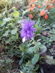 20200913_140626.jpg