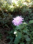 20200913_140631.jpg