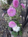 20200913_140710.jpg