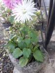 20200913_140721.jpg
