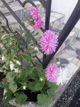 20200913_140729.jpg