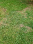 20200921_191149.jpg
