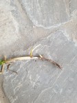 20200921_190941.jpg